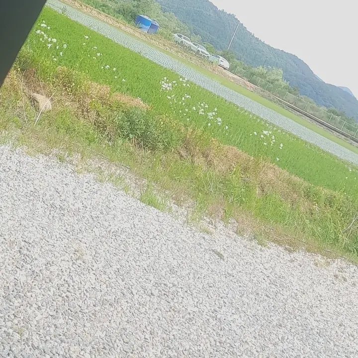 PerkySea3937의 핞동믽