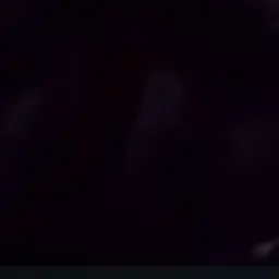 Profile image of 김동현