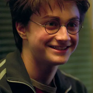 Profile image of Harry potter