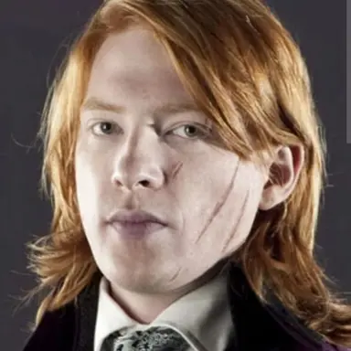 Profile image of Bill weasley