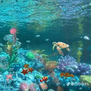 Profile image of 애니