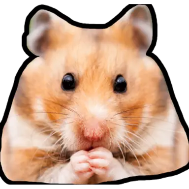 Profile image of 種食ったハムスター