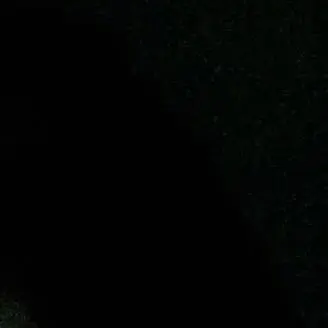 yoonzx.0810의 김동현
