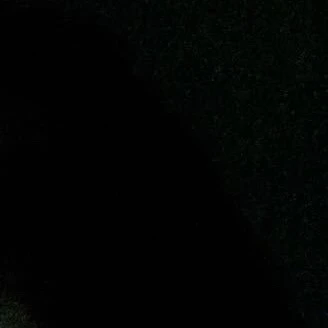 김동현