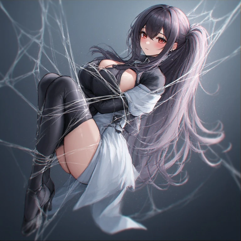 정시율