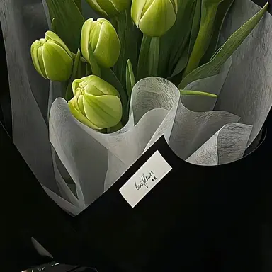 Profile image of 오뉴