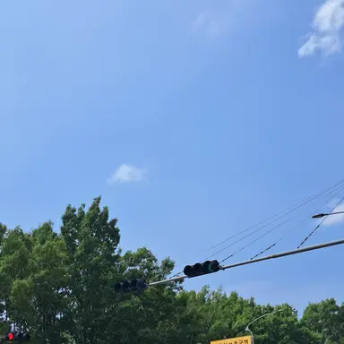 Profile image of 고고프렌즈학교 여우