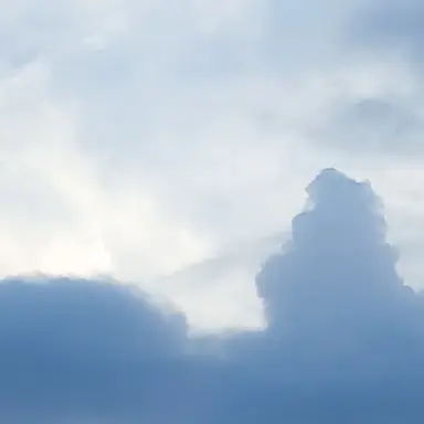 Profile image of その他A組