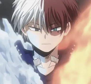 Profile image of Shoto Todoroki