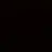 김선우