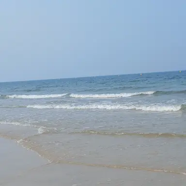 Profile image of 김바람