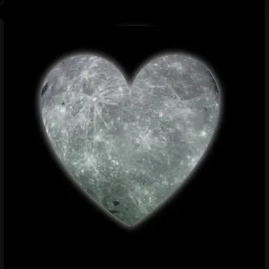 Profile image of 渡辺翔太