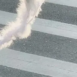 Profile image of イ・ヘウォン