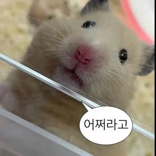 YeastyPast8464의 햄스터