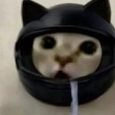 Profile image of Broskii