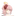 チェルシー