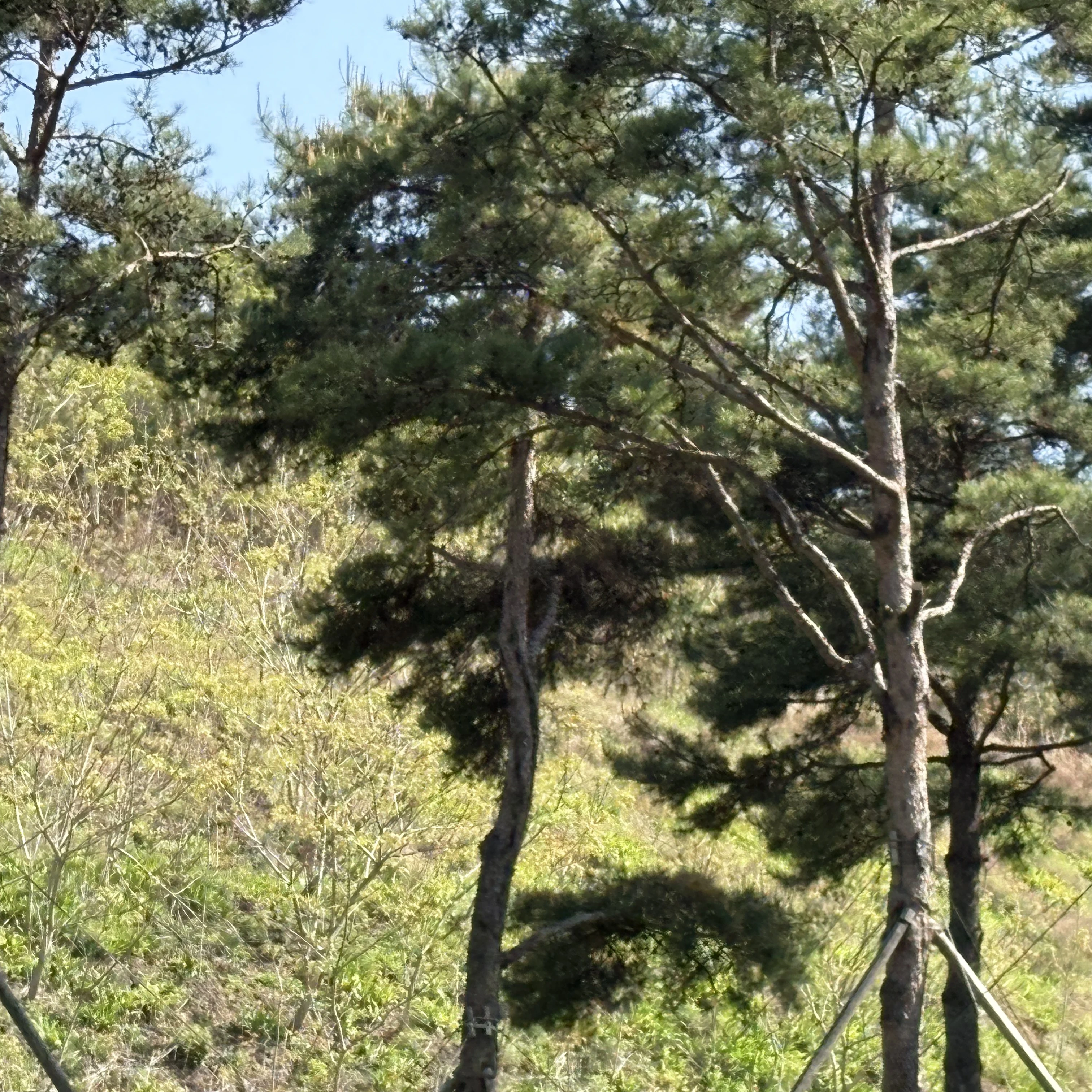 한동민