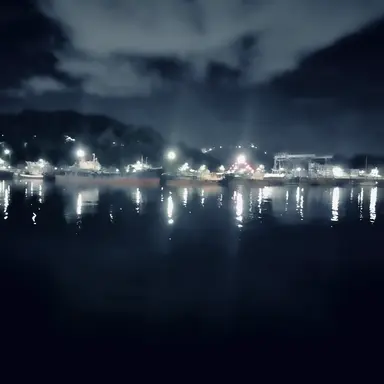 Profile image of 진랑