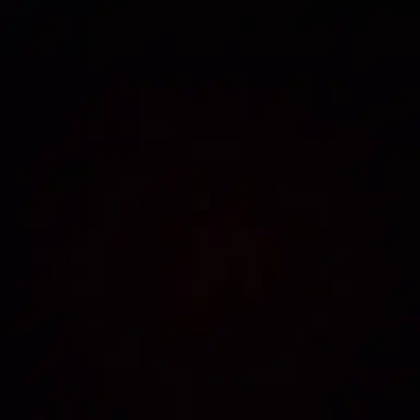 Profile image of 라이즈