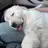 둥둥이
