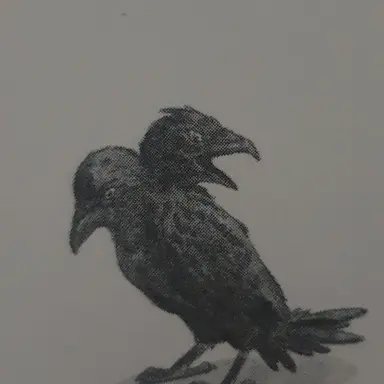 Profile image of 두두리
