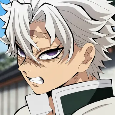 Profile image of Sanemi Shinazugawa