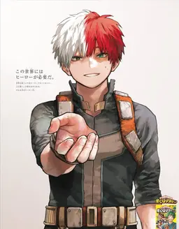 Profile image of Shoto Todoroki