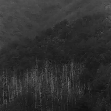 Profile image of 이사벨라