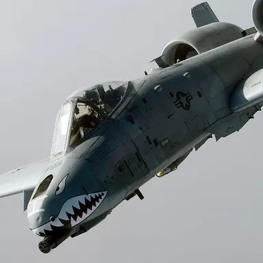 Profile image of A-10