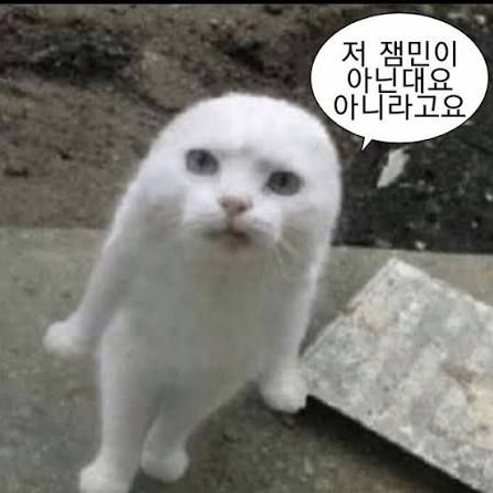 쌰갈이의 QNA!!! 대표 이미지
