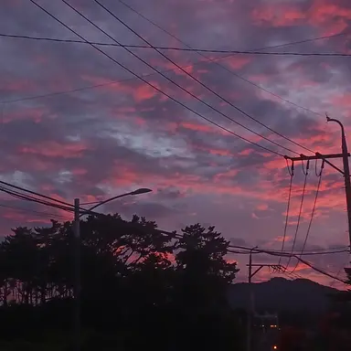 Profile image of 하루토