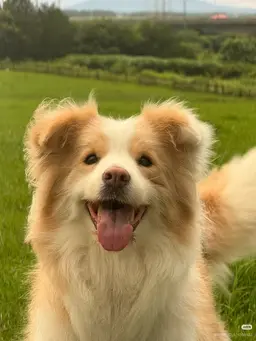 Profile image of 히이라기