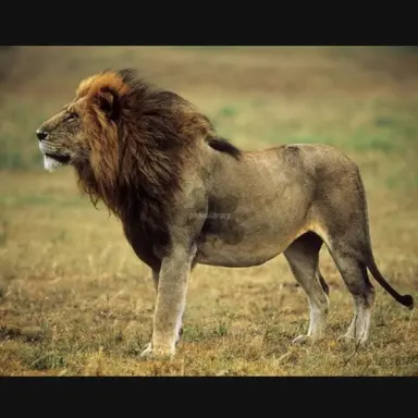 Profile image of 바라바라