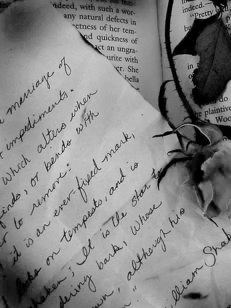 F._.의 ⏱️ 오후 10시의 지루한 추격전