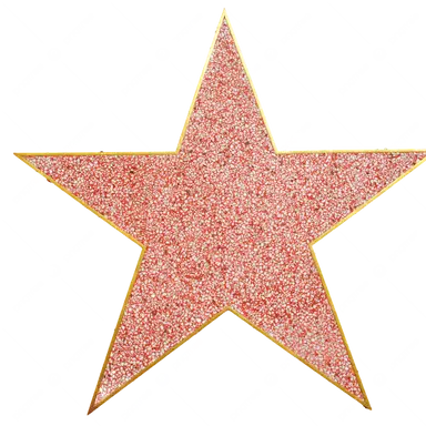 Profile image of Famous Singer