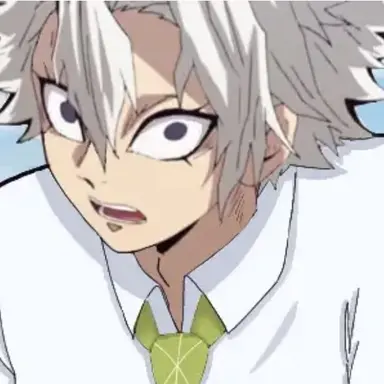 Profile image of 시나즈가와 사네미