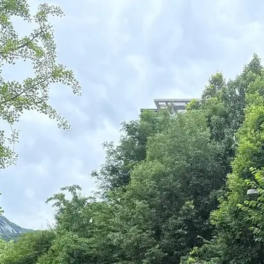 Profile image of 친오빠 신정환