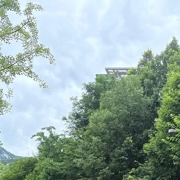 친오빠 신정환