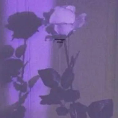 Profile image of 료가