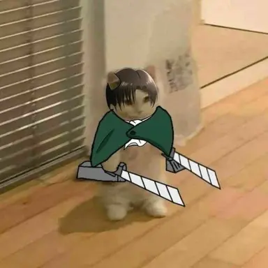 Profile image of 리바이 아커만