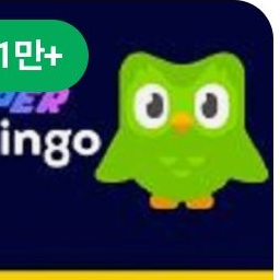 듀오링고 (지하실 가기 싫으면 잘해) 대표 이미지