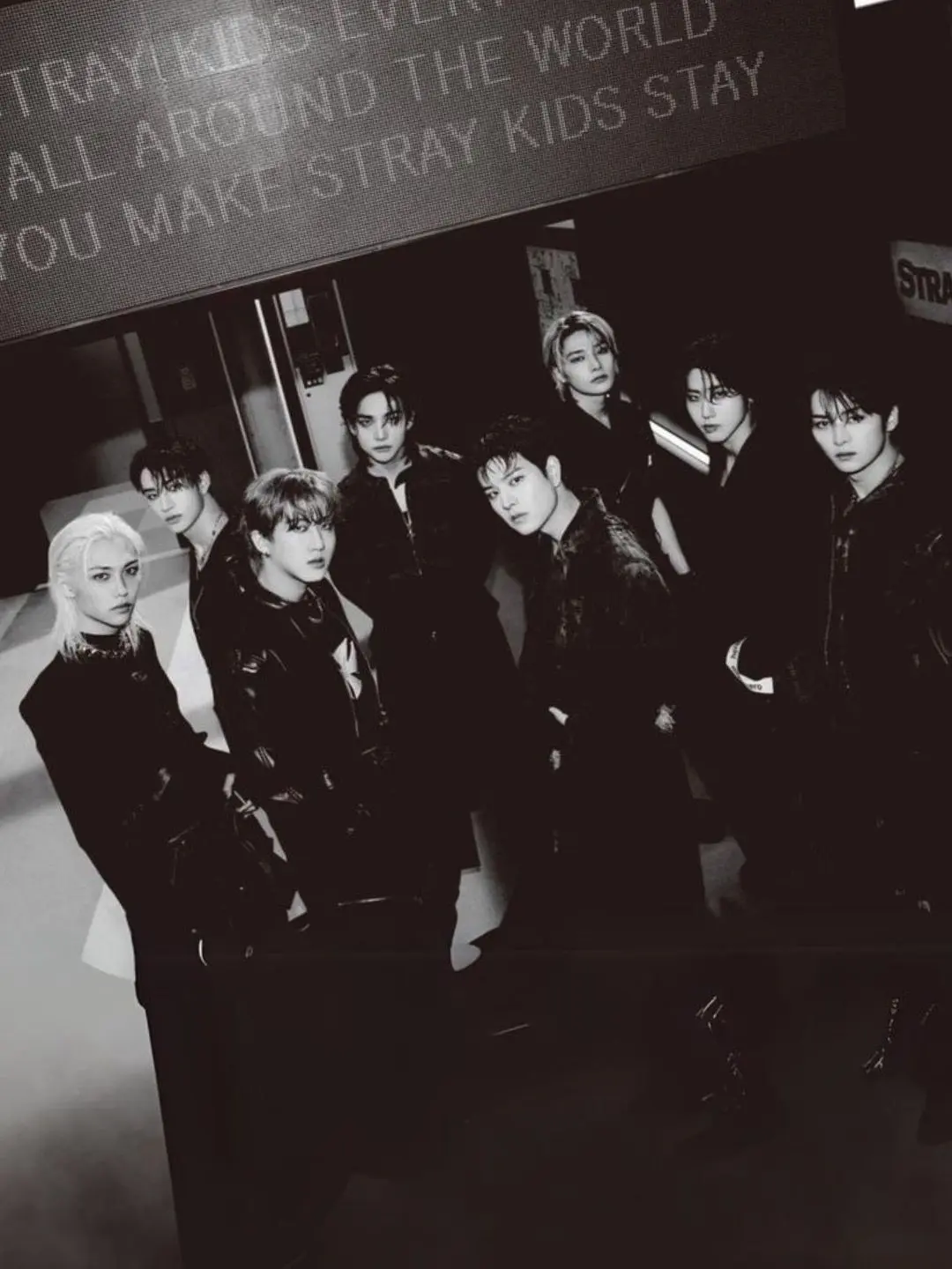 GruffLion8075의 Skz vampires