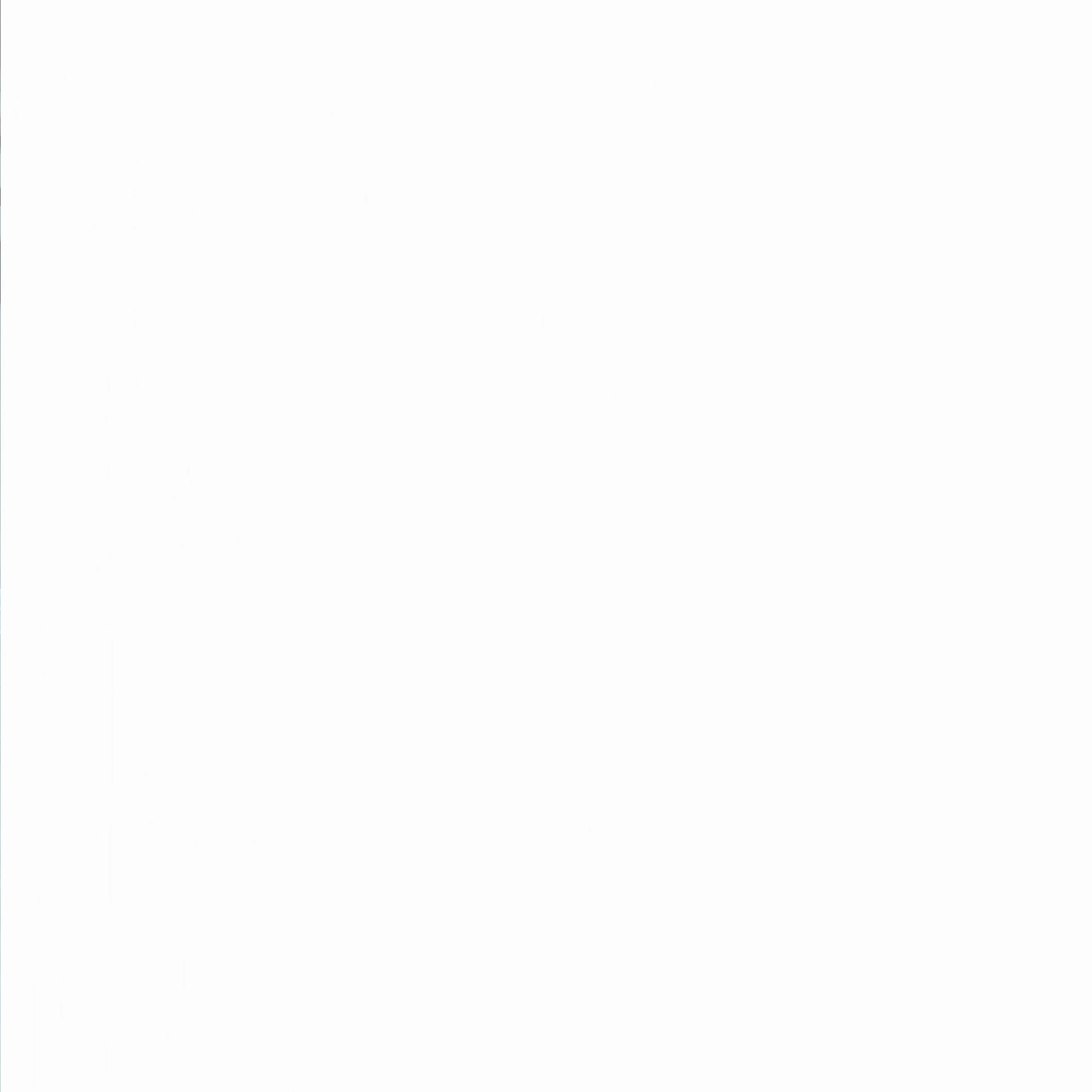 미스틱플라워 쿠키