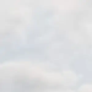 Profile image of 조여우