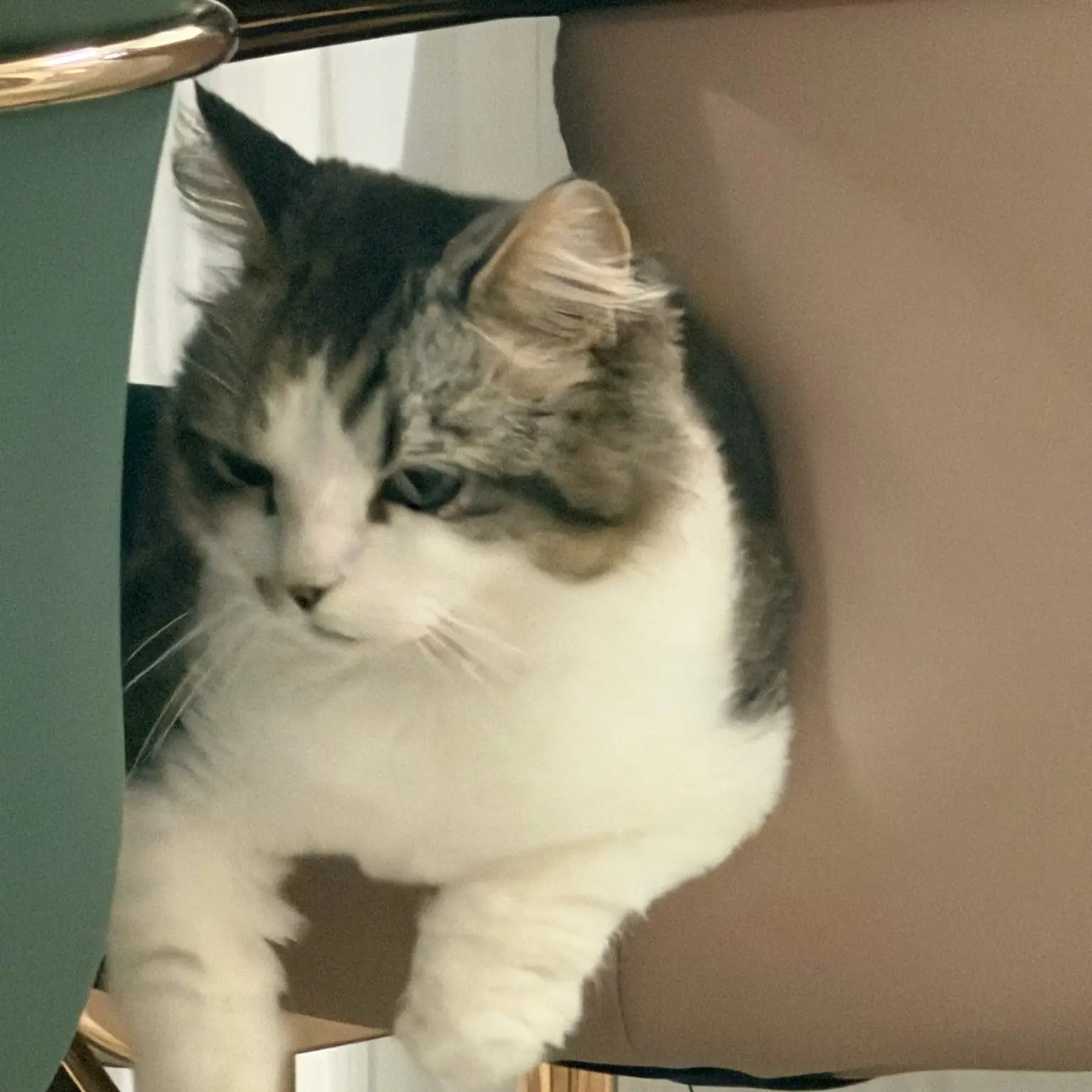 BouncyGlobe3999의 읽을 수 없는 이야기는