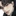 류하준