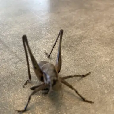 Profile image of 김벌래