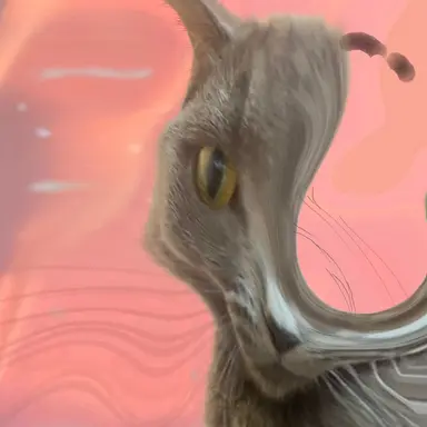 Profile image of 양