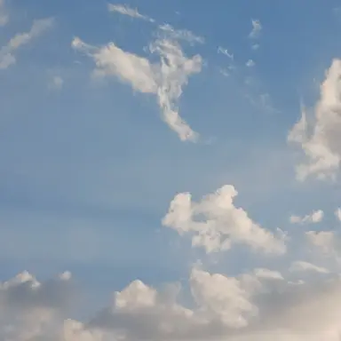 Profile image of 고죠