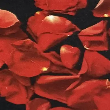 Profile image of 宮舘涼太